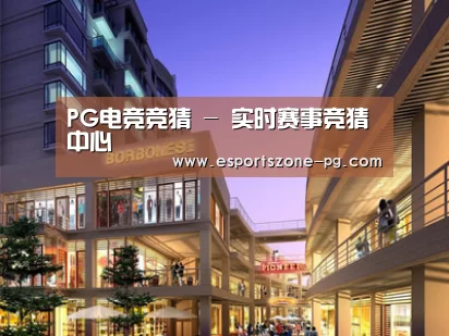 案例展示一(图1)