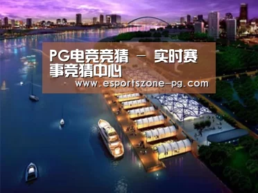 案例展示八