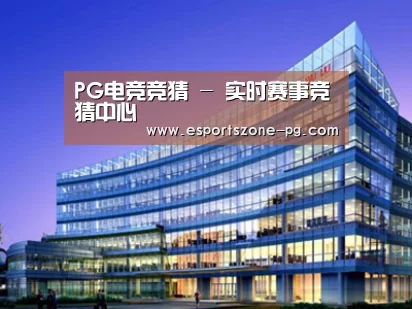 案例展示五