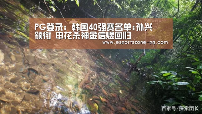 PG登录:韩国40强赛名单:孙兴慜领衔 申花杀神金信煜回归(图2) PG篮球