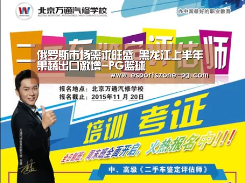 PG在线