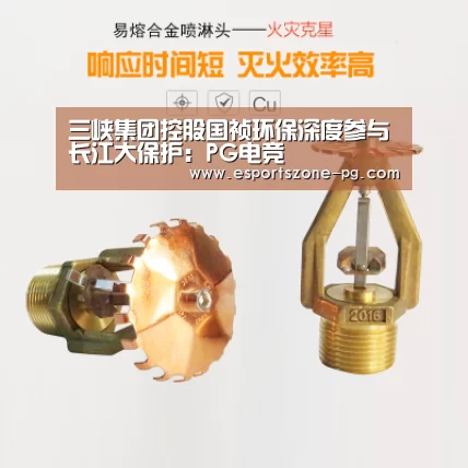 PG篮球