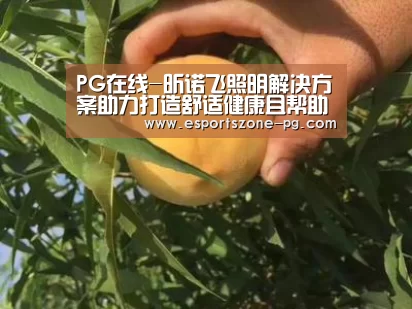 PG登录