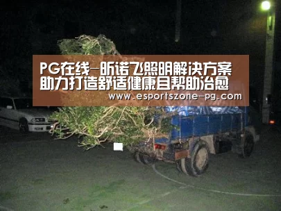 PG在线